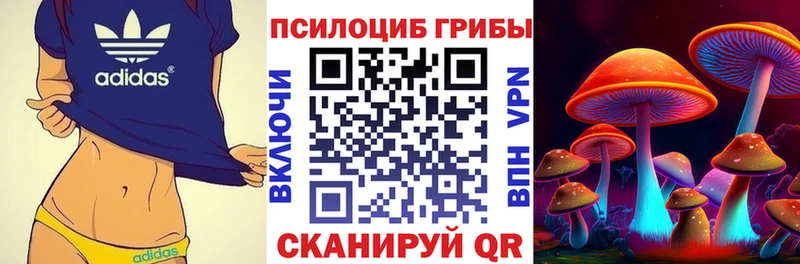 Псилоцибиновые грибы Psilocybine cubensis  Южно-Сахалинск 