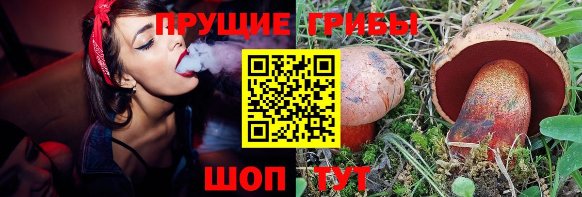 Псилоцибиновые грибы Magic Shrooms  Вход с VPN  Южно-Сахалинск  Галлюциногенные грибы Magic Shrooms 